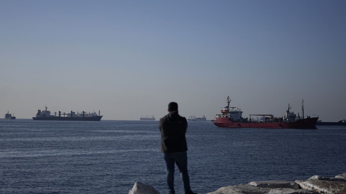 Turecký ministr: Lodě s tureckými vlajkami budou obilí z Ukrajiny vozit dál